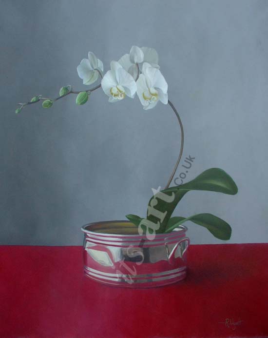 Orchid with Secret Painting